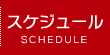スケジュール